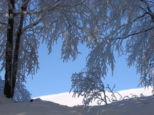 Bieszczady