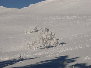 Bieszczady