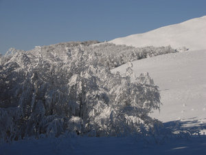 Bieszczady