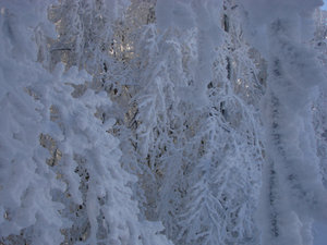 Bieszczady