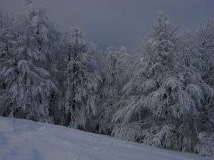 Bieszczady