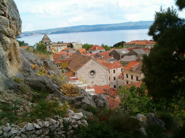 Omisz