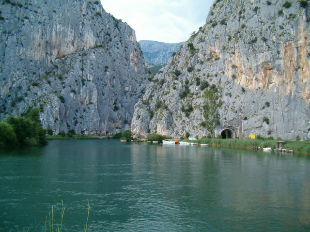 Omisz