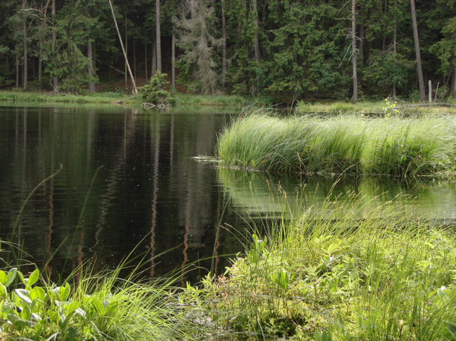 Wigierski Park Narodowy