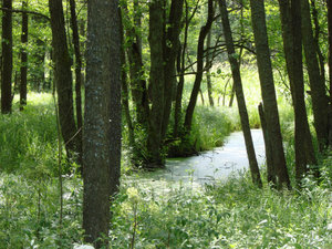 Wigierski Park Narodowy