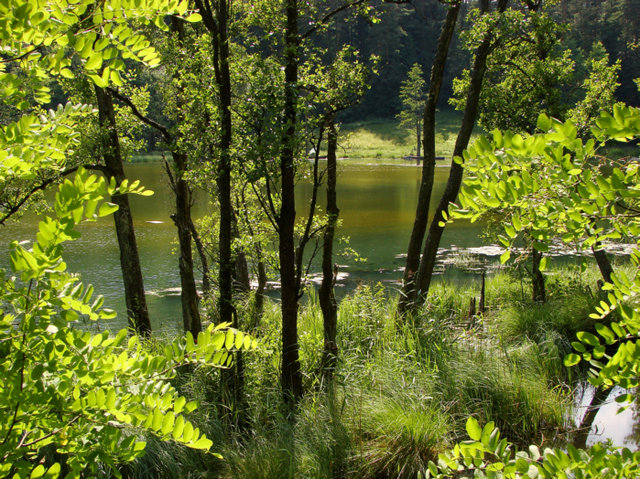 Wigierski Park Narodowy