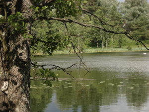 Wigierski Park Narodowy