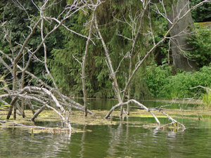 Wigierski Park Narodowy