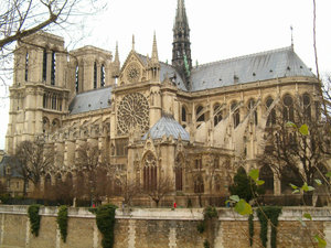 Paryż - katedra Notre Dame