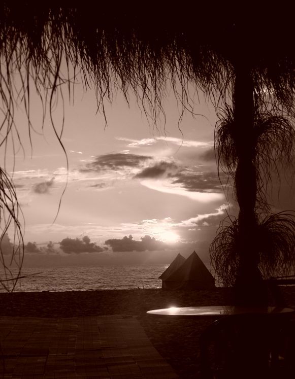 Gionio i zachód słońca na plaży.