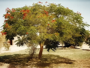 Egipt. Hurghada