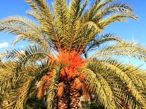 Kreta, Gortys (Gortyna)
