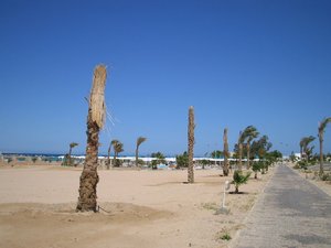 48852 - Hurghada Plazowanie i zwiedzanie okolic