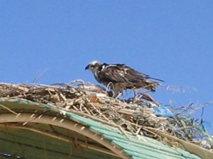 48875 - Hurghada Plazowanie i zwiedzanie okolic