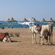 48879 - Hurghada Plazowanie i zwiedzanie okolic