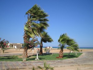 48881 - Hurghada Plazowanie i zwiedzanie okolic