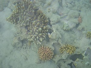 48921 - Hurghada Plazowanie i zwiedzanie okolic