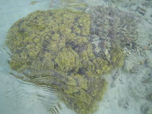 48922 - Hurghada Plazowanie i zwiedzanie okolic