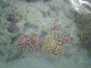 48923 - Hurghada Plazowanie i zwiedzanie okolic