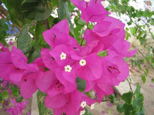 48928 - Hurghada Plazowanie i zwiedzanie okolic