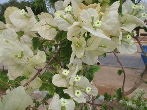 48930 - Hurghada Plazowanie i zwiedzanie okolic