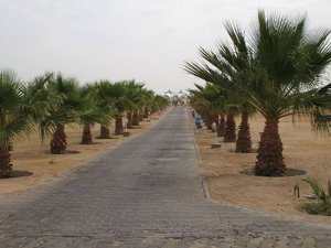 48931 - Hurghada Plazowanie i zwiedzanie okolic