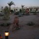49016 - Hurghada Plazowanie i zwiedzanie okolic