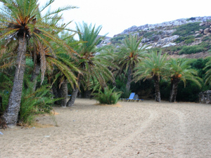 Kreta, Vai