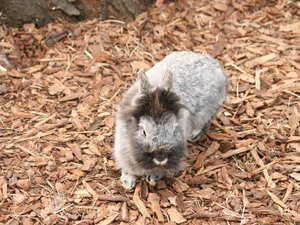 Img 6858