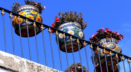 49683 - Morelia pierwsza wycieczka