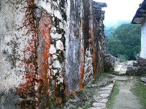 50052 - Palenque ruiny tym razem w dżungli