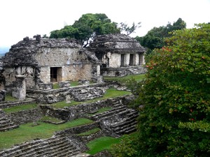 p1100420