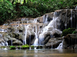 p1100482
