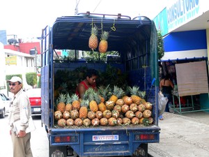 50068 - Palenque ruiny tym razem w dżungli