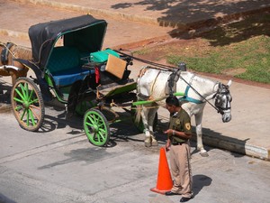 50359 - Ticul żółty Izamal i dalej w drogę