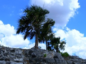 50369 - Ticul żółty Izamal i dalej w drogę