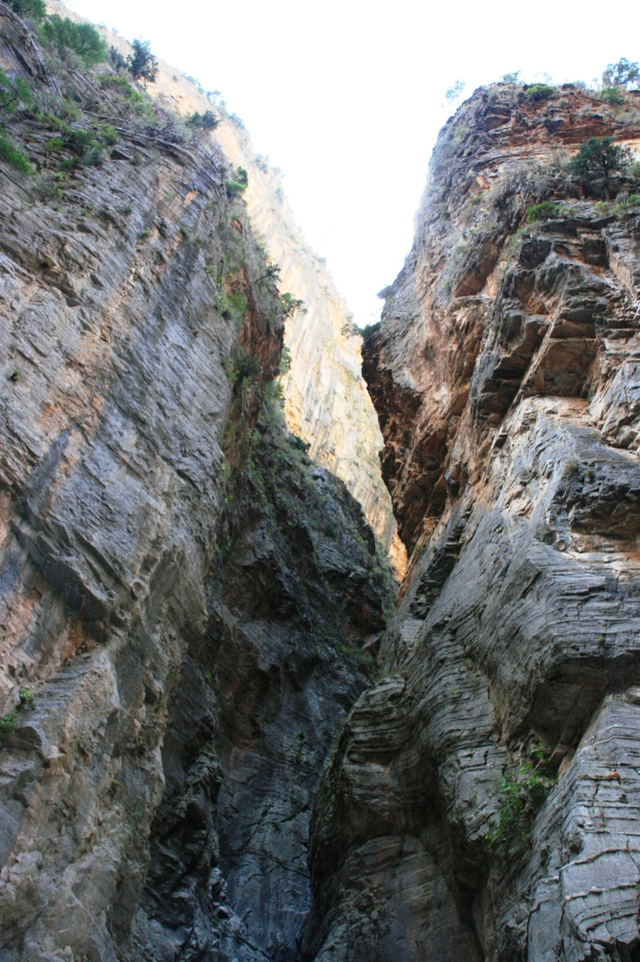 Kreta, Wąwóz Samaria