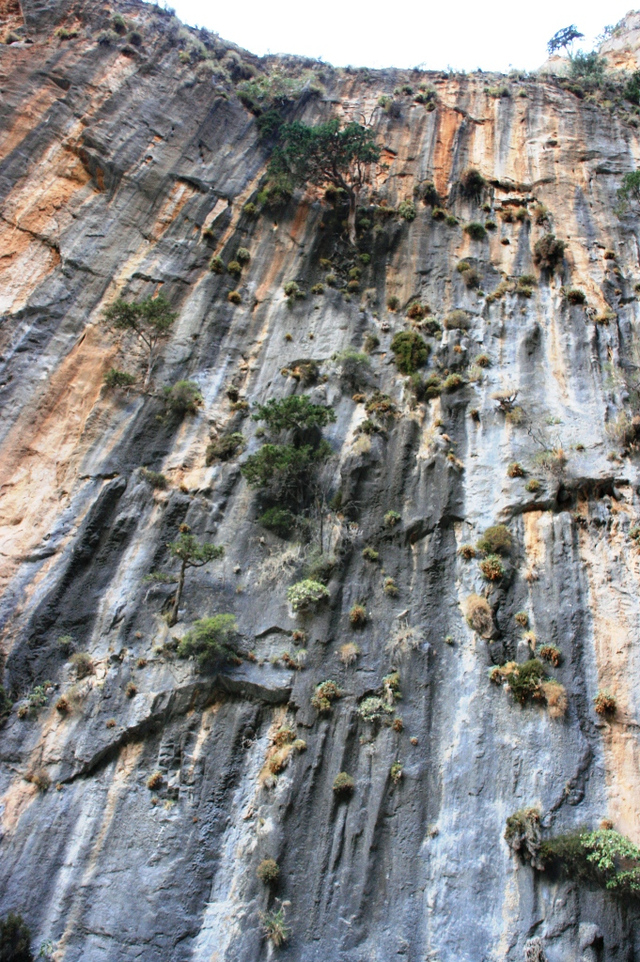 Kreta, Wąwóz Samaria