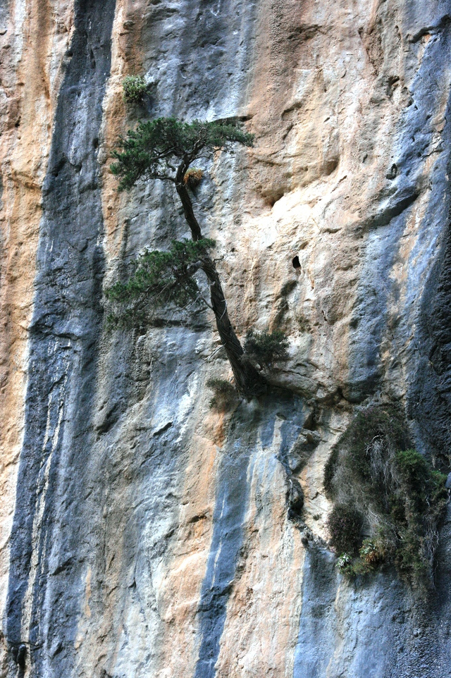 Kreta, Wąwóz Samaria