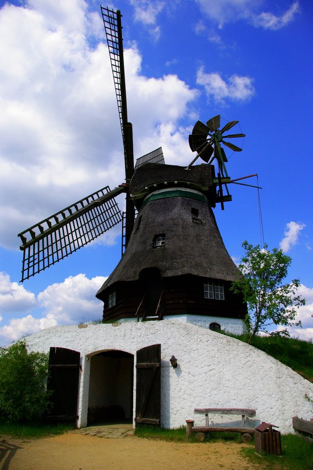 Międzynarodowe Muzeum Wiatraków i Młynów Wodnych w Gifhorn