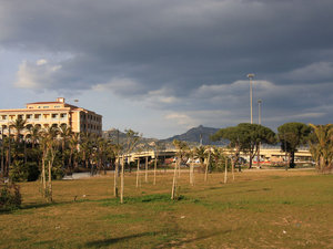 Img 0294