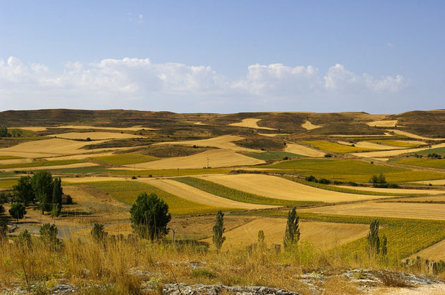 Berlanga del Duero,Soria