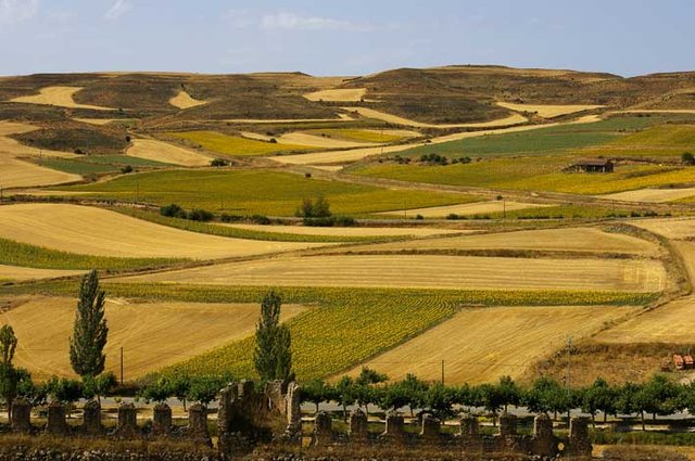 Berlanga del Duero,Soria