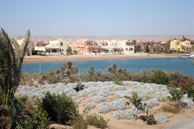 52619 - Hurghada