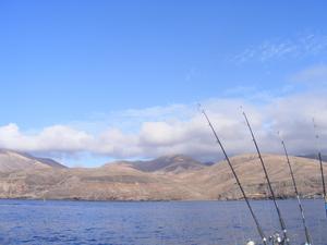 53269 - Lanzarote See fishing Puerto Calero