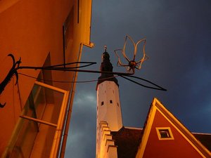Tallinn wieża kościoła św. Ducha nocą