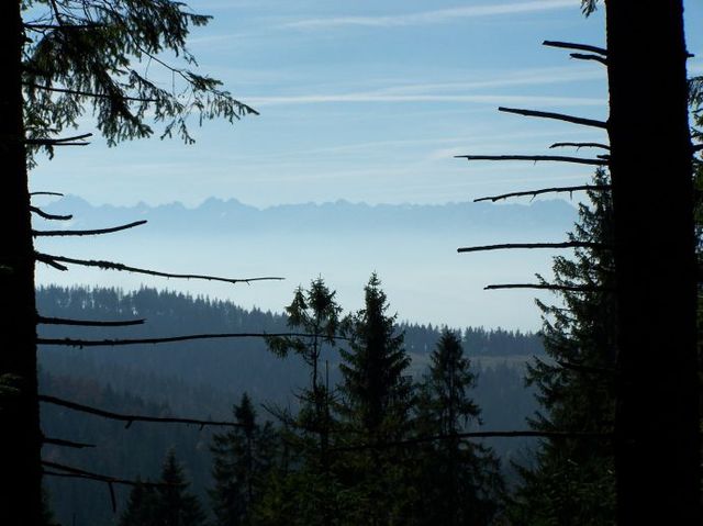 droga na Turbacz_Gorce_widok na Tatry