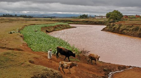 Krajobraz, Madagaskar