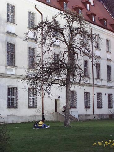 Ostrów Tumski