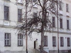 Ostrów Tumski